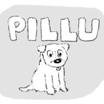pillu-home-page